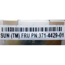 Серверная память SUN (FRU PN 371-4429-01) 4096Mb (4Gb) DDR3 ECC в Волоколамске, память для сервера SUN FRU P/N 371-4429-01 (Волоколамск)