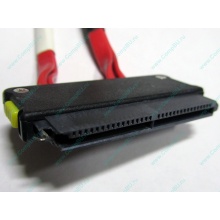 SATA-кабель для корзины HDD HP 451782-001 459190-001 для HP ML310 G5 (Волоколамск)