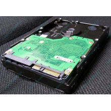 Жесткий диск 600Gb 15k Dell 9FN066-008 6G SAS ( Seagate Cheetach ST3600057SS 15K.7) - Волоколамск