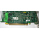 Видеокарта Dell ATI-102-B17002(B) зелёная 256Mb ATI HD2400 PCI-E (Волоколамск)