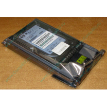 Жёсткий диск 146.8Gb HP 365695-008 404708-001 BD14689BB9 256716-B22 MAW3147NC 10000 rpm Ultra320 Wide SCSI купить в Волоколамске, цена (Волоколамск).