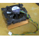 Intel D34088-001 s603 / s604 (Волоколамск)