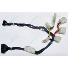 59P4789 FRU 59P4792 в Волоколамске, кабель IBM 59P4789 FRU 59P4792 для серверов X225 (Волоколамск)