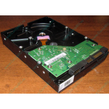 Жесткий диск 500Gb WD WD5000AAKX HP 634605-003 613208-001 7.2k SATA (Волоколамск)