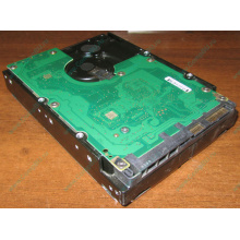 Жесткий диск 300Gb 15k Dell 9CH066-050 6G SAS (Seagate Cheetach ST3300656SS 15K.6) - Волоколамск
